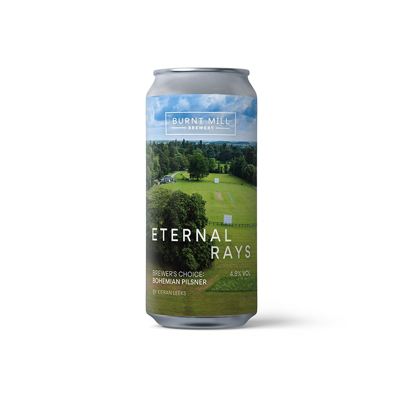 Eternal Rays Pilsner Cans