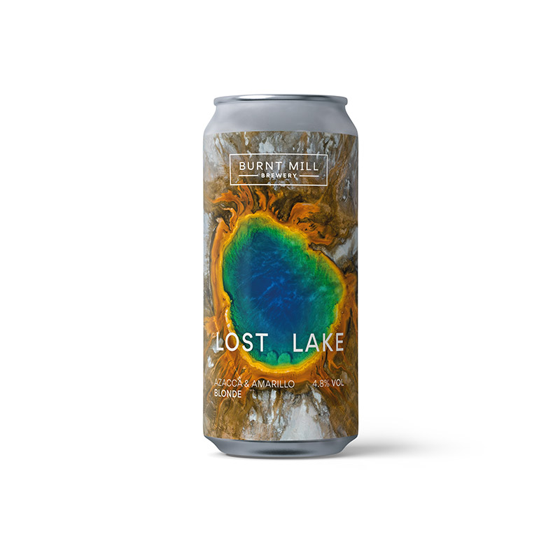 Lost Lake Blonde Ale Cans