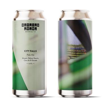 Nothing Bound City Falls Pale Ale Cans